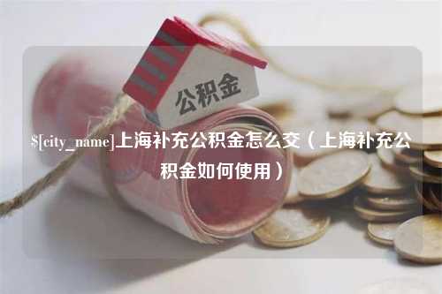 海东上海补充公积金怎么交（上海补充公积金如何使用）